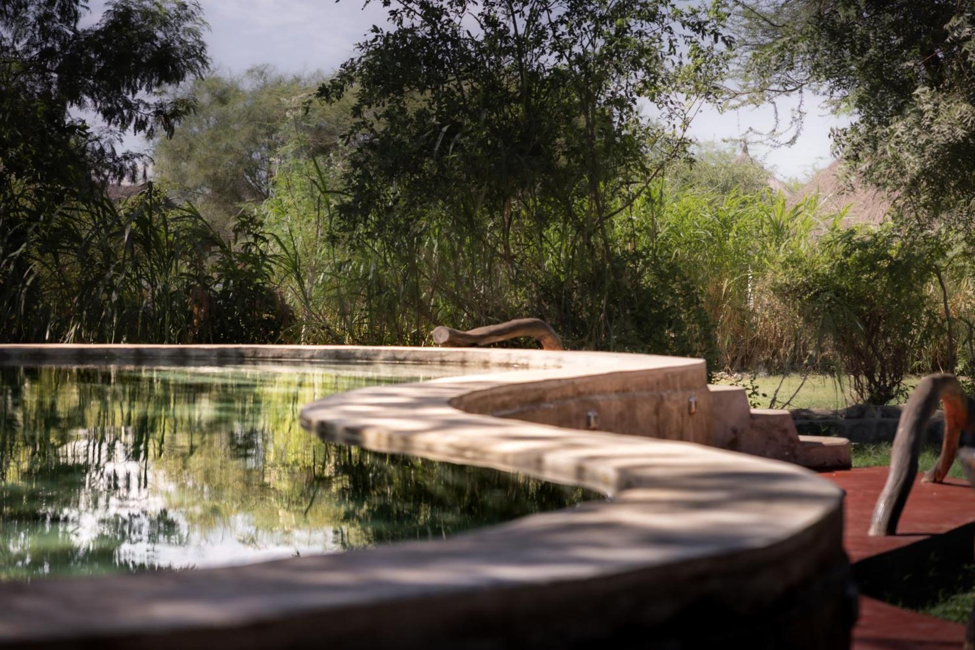 Lake Natron Maasai Giraffe Eco Lodge And Camping Mtowabaga Eksteriør bilde