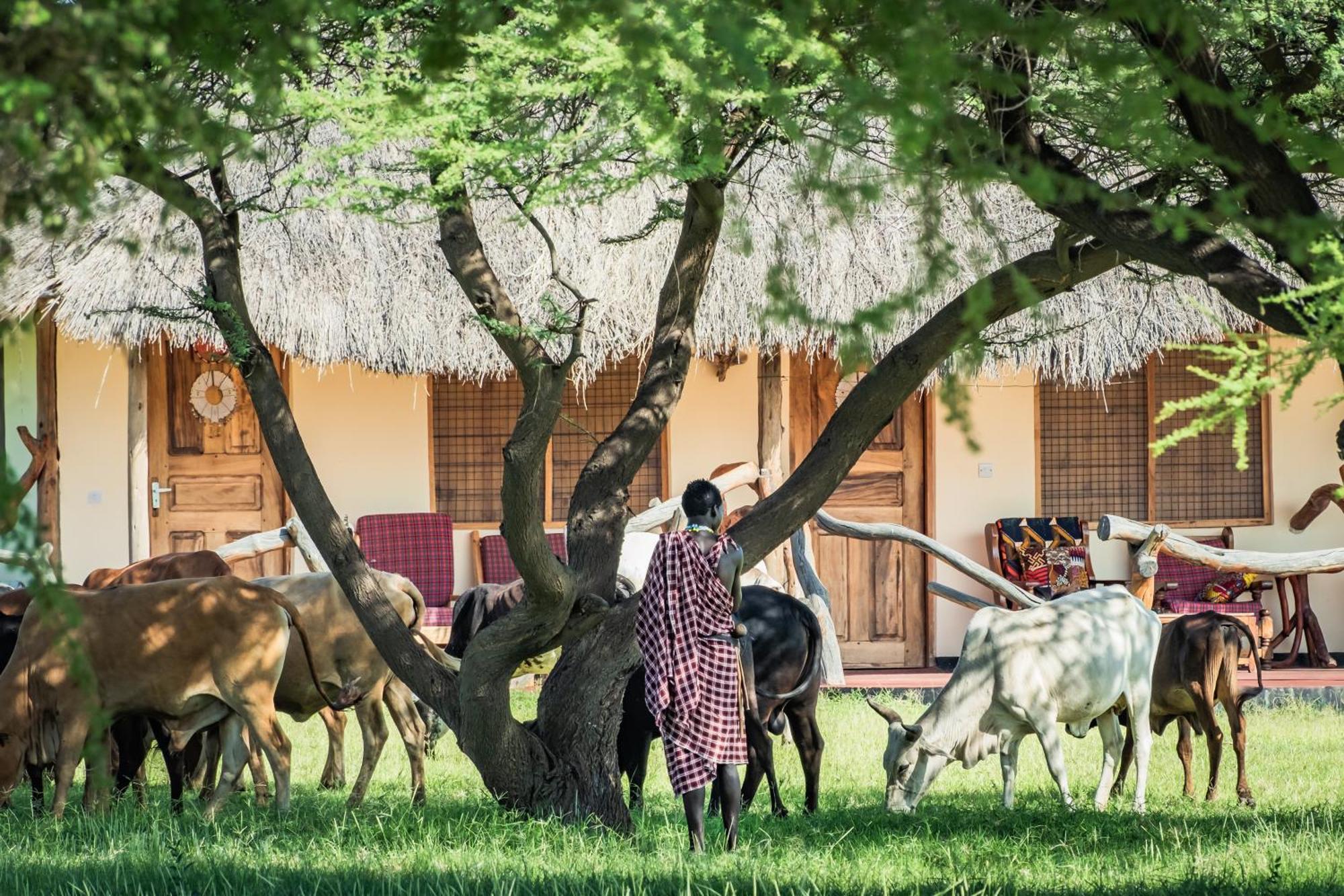 Lake Natron Maasai Giraffe Eco Lodge And Camping Mtowabaga Eksteriør bilde