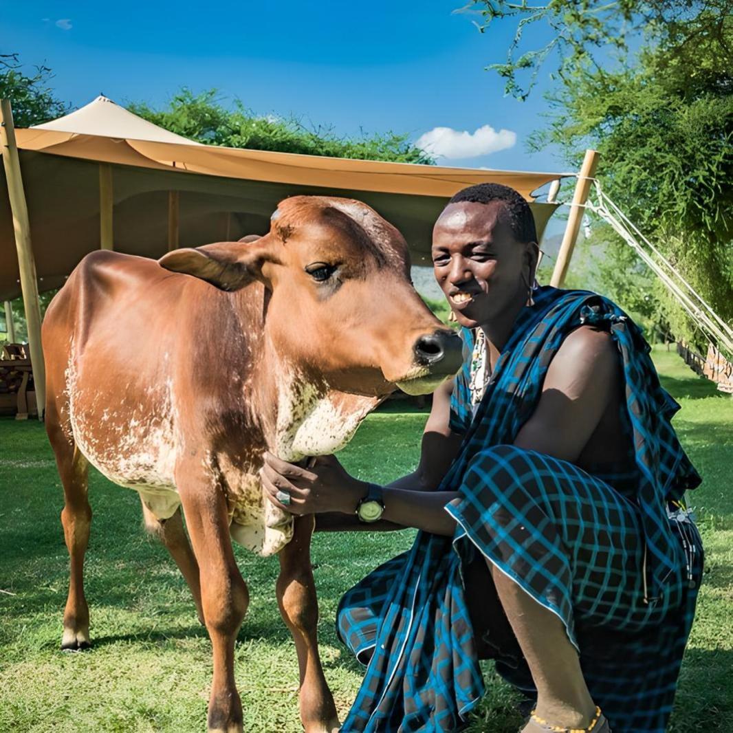 Lake Natron Maasai Giraffe Eco Lodge And Camping Mtowabaga Eksteriør bilde